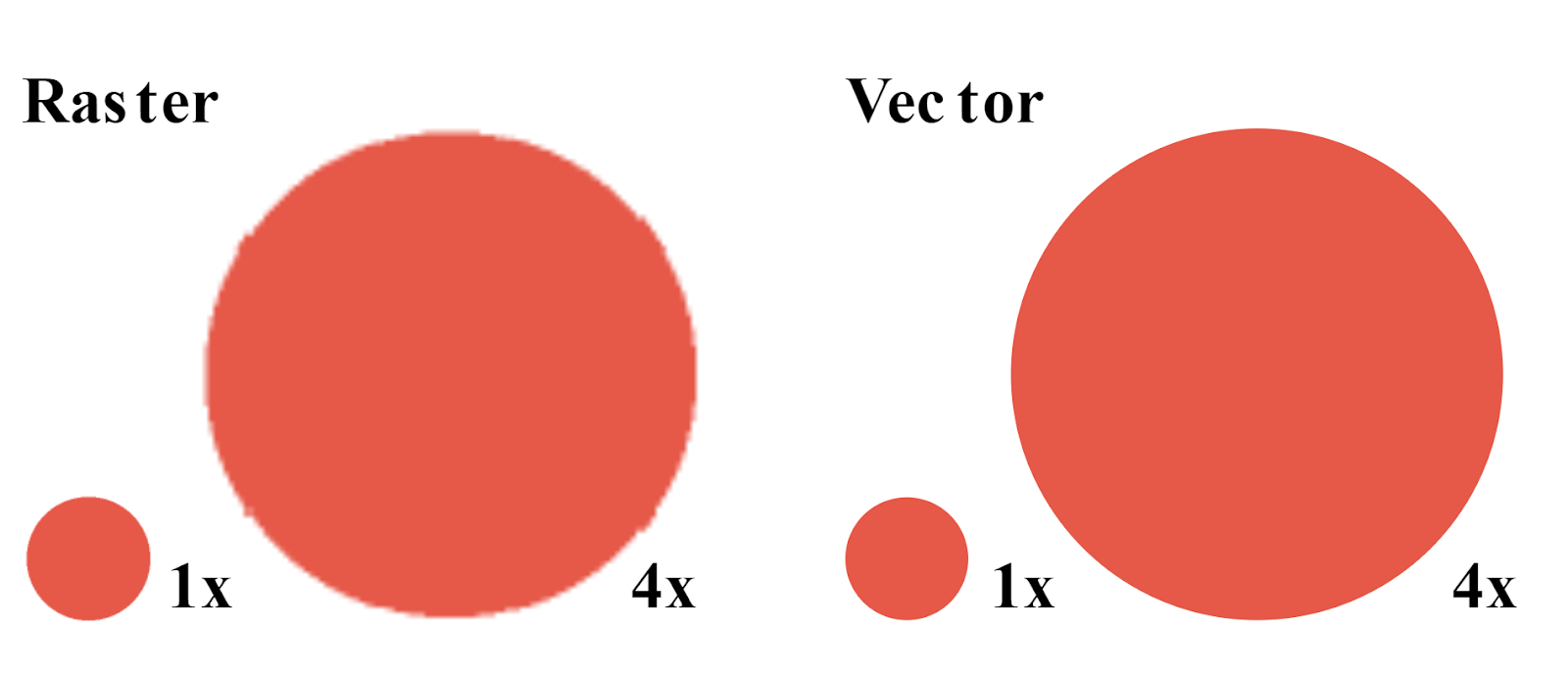 raster vs vector